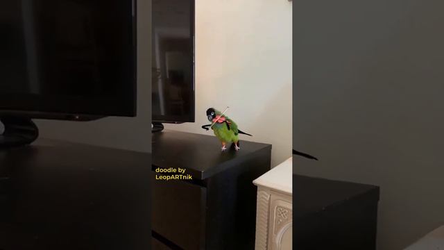 "Я НЕ ПАГАНИНИ, НО МОГУ ЗАЖЕЧЬ!" 🎻🔥