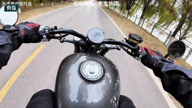 Benda chinchila 500 обзор