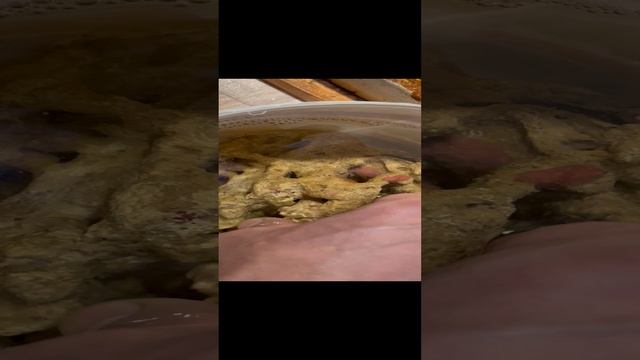 КоралПро iGeezReef. Чистка камня от червей. Морской аквариум. Часть 2