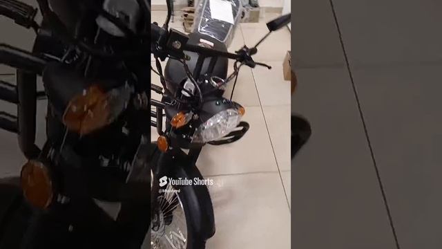 Альфа Vega