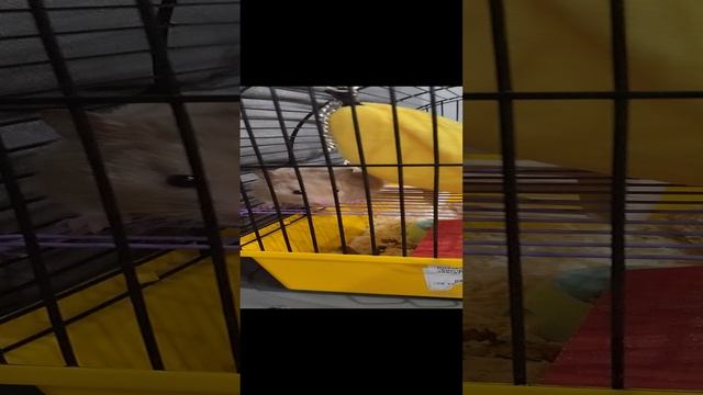 1000002010.mp4