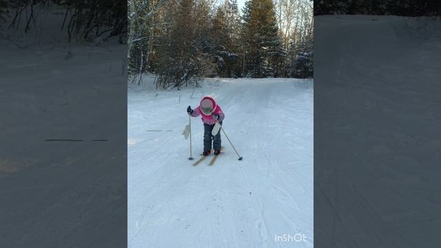 Всей семьёй на лыжах