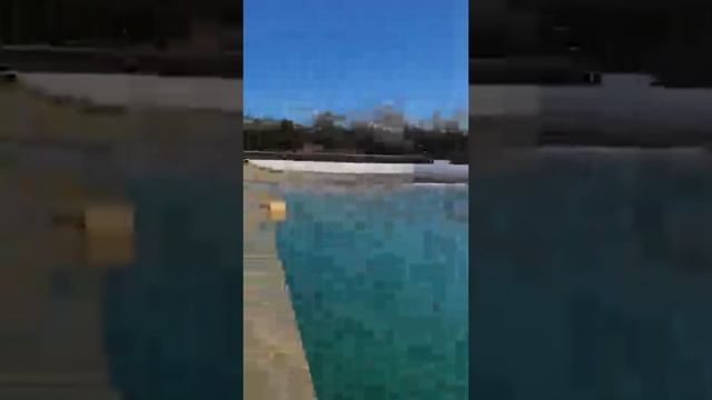 29.11.24 0🌞🌊+13 в 8 утра!Дивноморск! Ykov Bonar в прямом эфире!
