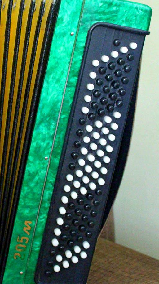 🎵 «Одинокая ветка сирени» -4