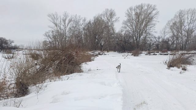 05.01.2025.mp4