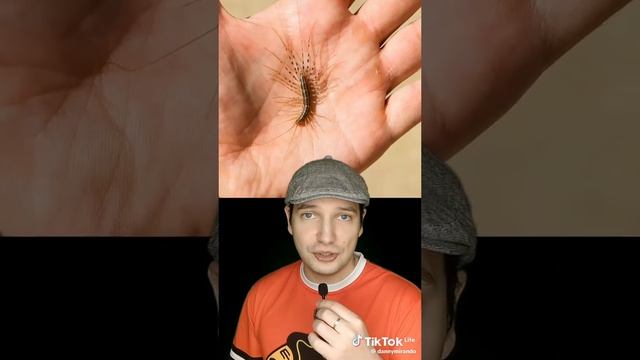 1000026950.mp4