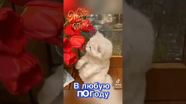 1000031261.mp4