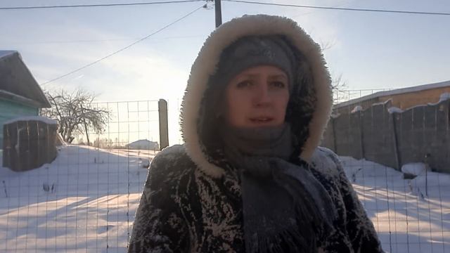 Вопрос с сеном разрешился🙏#Прогулка по сосновому бору😄🌲