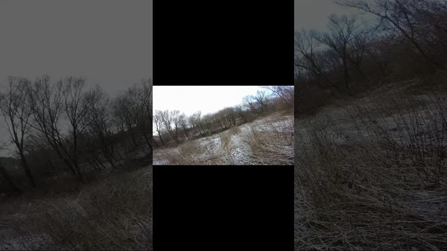 РГ Баян старается, хозяин мажет