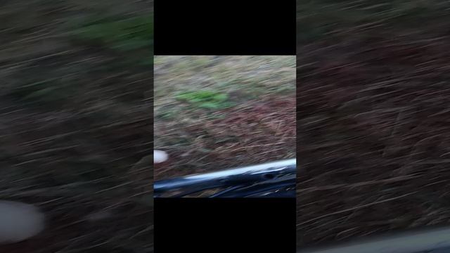 1000057513.mp4