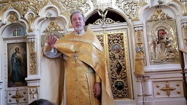 Проповедь протоиерея Иоанна Барсукова в Неделю 28-ю по Пятидесятнице