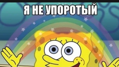 bolshoy medved
