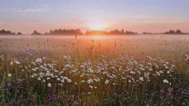 Умываются зори туманами