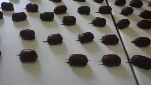 www.neofood.de Dry dates/plum sweets in chocolate production line