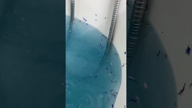 Набор соль для ванны с шиммером, сухоцветами из василька и бомбочки для ванны подарит наслаждение🤤