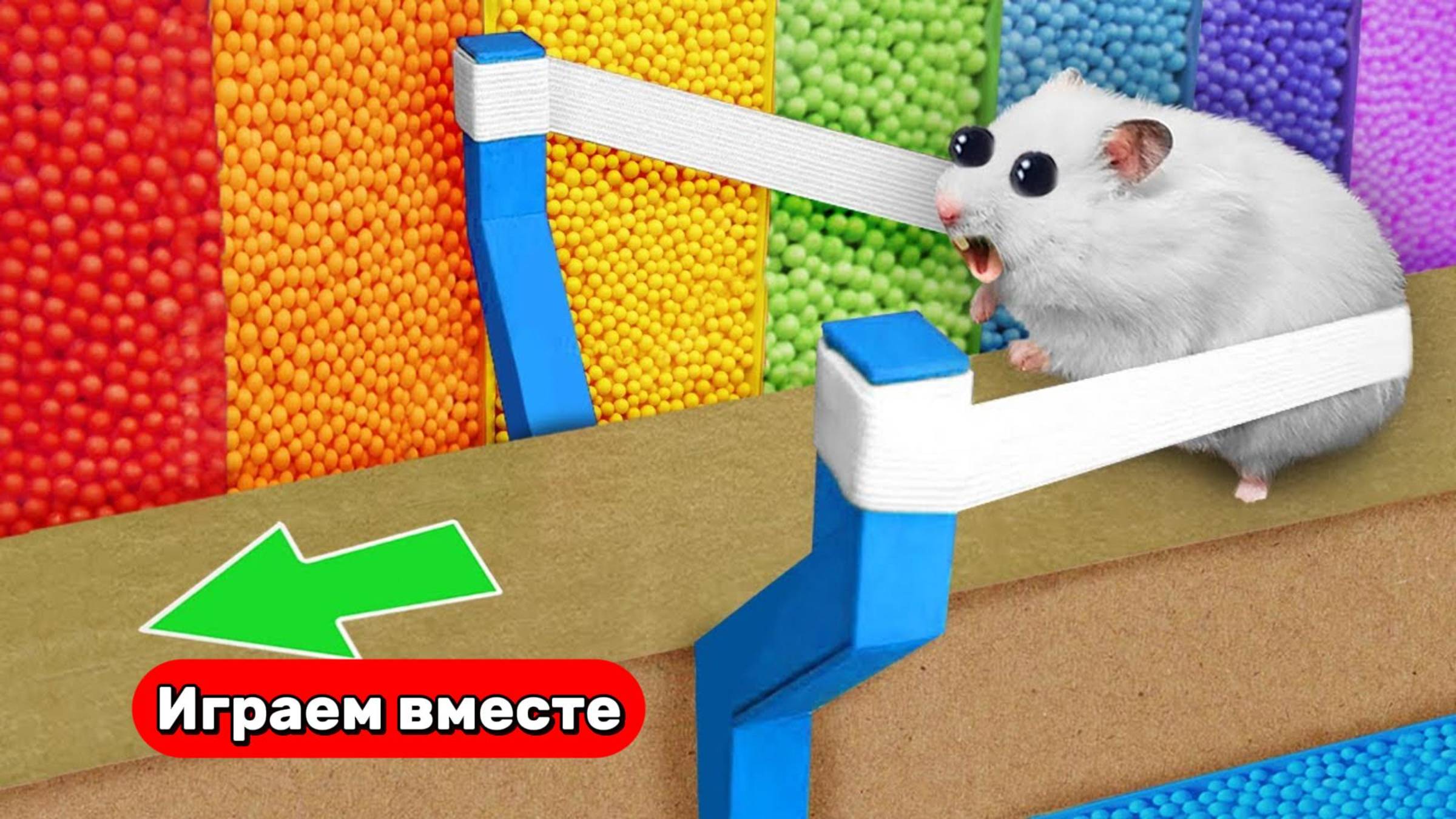 Разноцветный Лабиринт с шариками для ХОМЯКА 🐹 Видео для детей