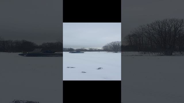 приката гусениц