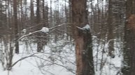 Посёлок Сотово. Следы часть первая.