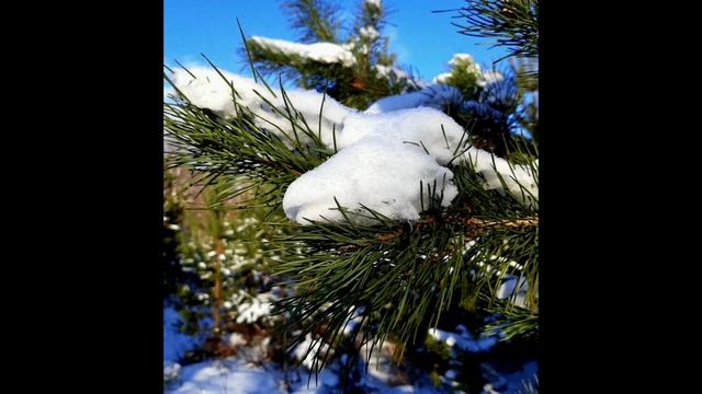 06-01-2025 солнечное утро на Рождественский Сочельник