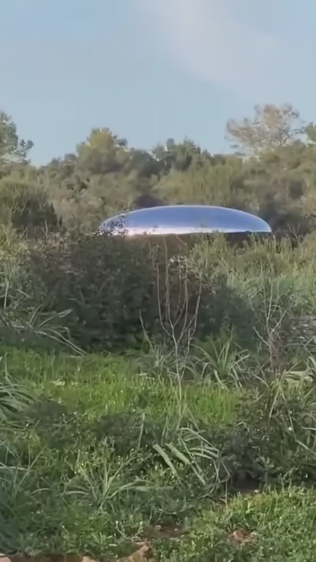 Серебряный Объект в Лесу