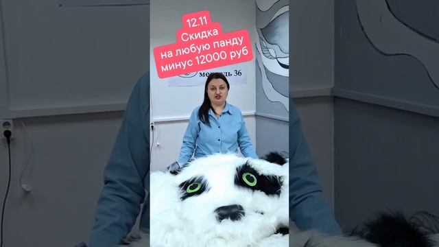 Распродажа надувных панд на черную пятницу   #белыймедведь #белыймишка