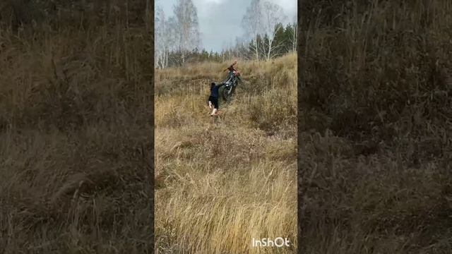 InShot_20241104_213220479.mp4