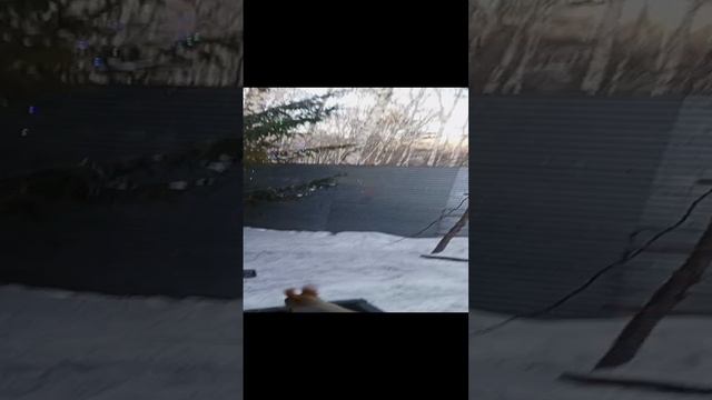 утро перед сочельником