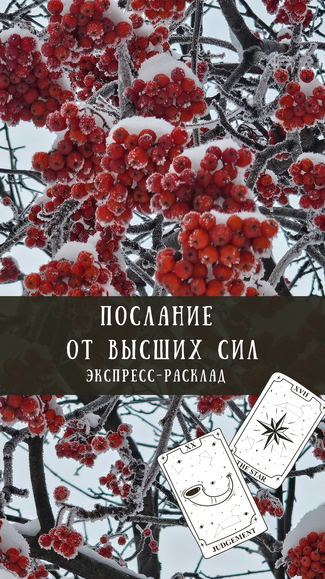 ПОСЛАНИЕ ВЫСШИХ СИЛ