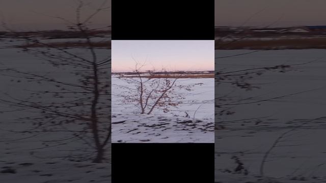 История озера "Старица Дубовый Ерик" в микрорайне "Волгарь"  Куйбышевского района города Самары!