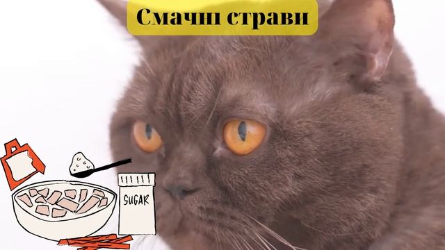 Дуже смачний дієтичний салат