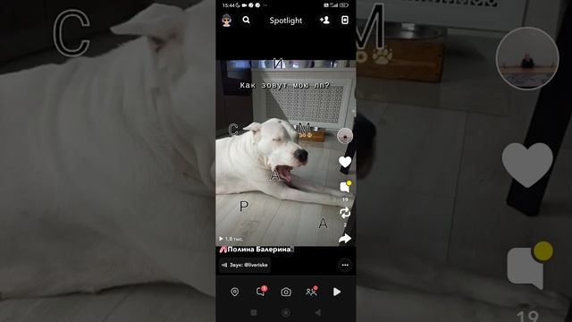 ручка и ношка