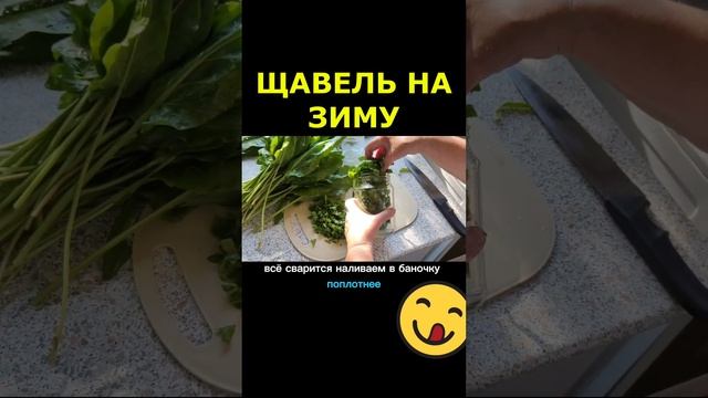 ЩАВЕЛЬ НА ЗИМУ #shorts