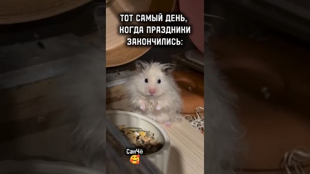 Выжившие есть? 👍