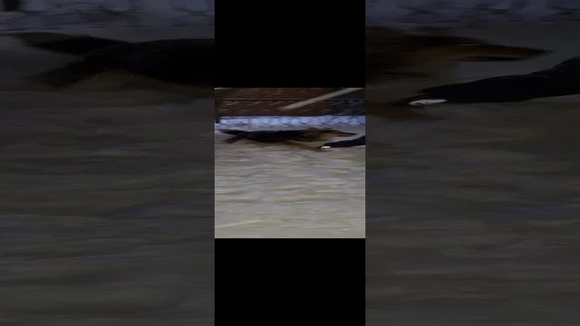 малыш хулиган