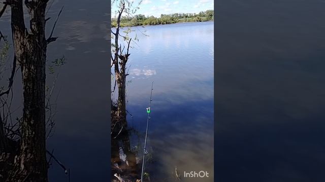 Рыбалка летом...