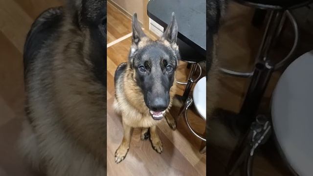 lv_0_20250106220938.mp4