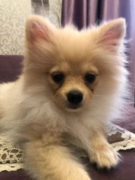 доброе утро! ❤❤❤