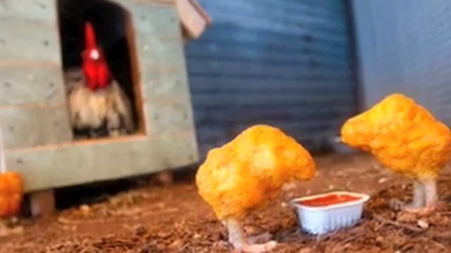 FUNNY CHICKEN NUGGETS SONG! - by Nooshi