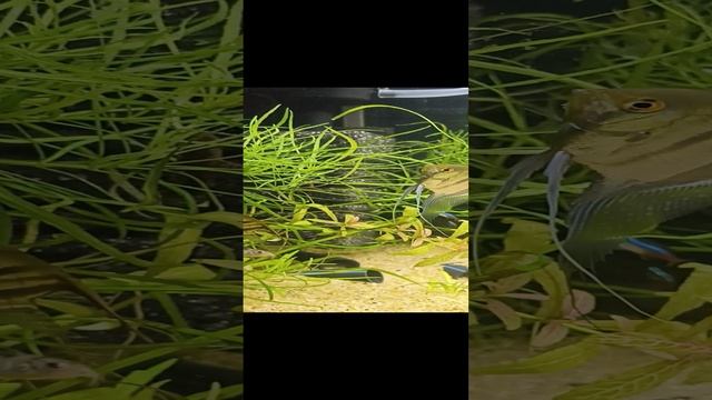 1000009572.mp4