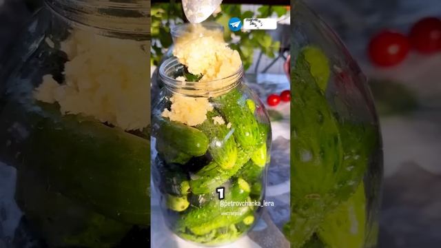 Квашеные огурцы на зиму с горчичкой #дача #рецепт #garden #огурцы