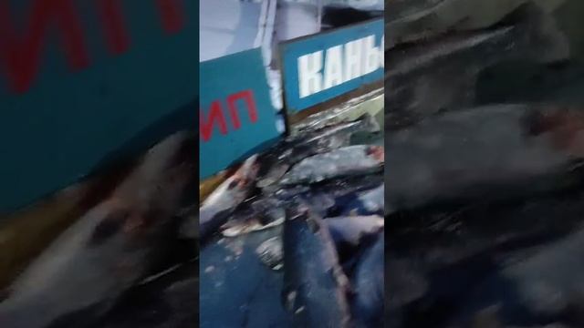 17,4 кг форели на актив. Каньон.