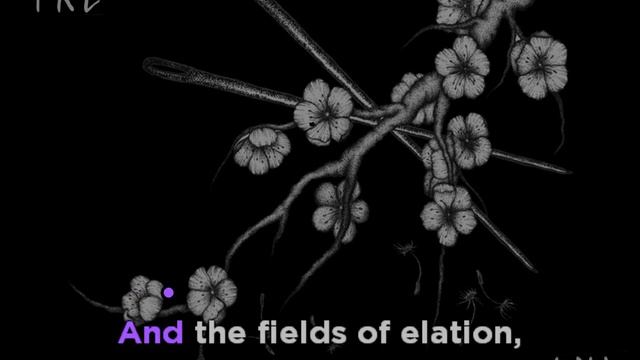 Sleep Token - Fields of Elation • KARAOKE