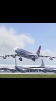 Это птица, это самолет, это птица-самолет.