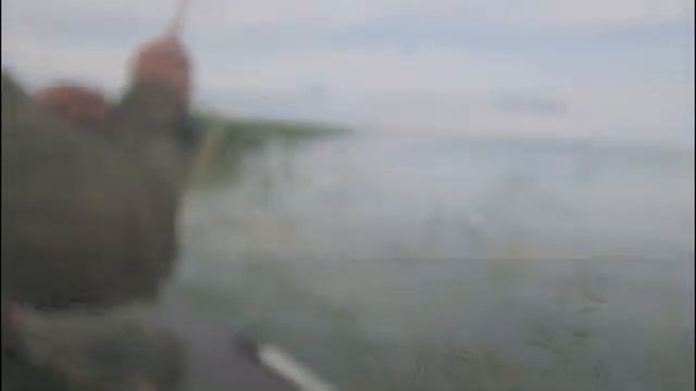 За тридевять морей! Озеро САРТЛАН и ОБСКОЕ водохранилище!!! г. Новосибирск