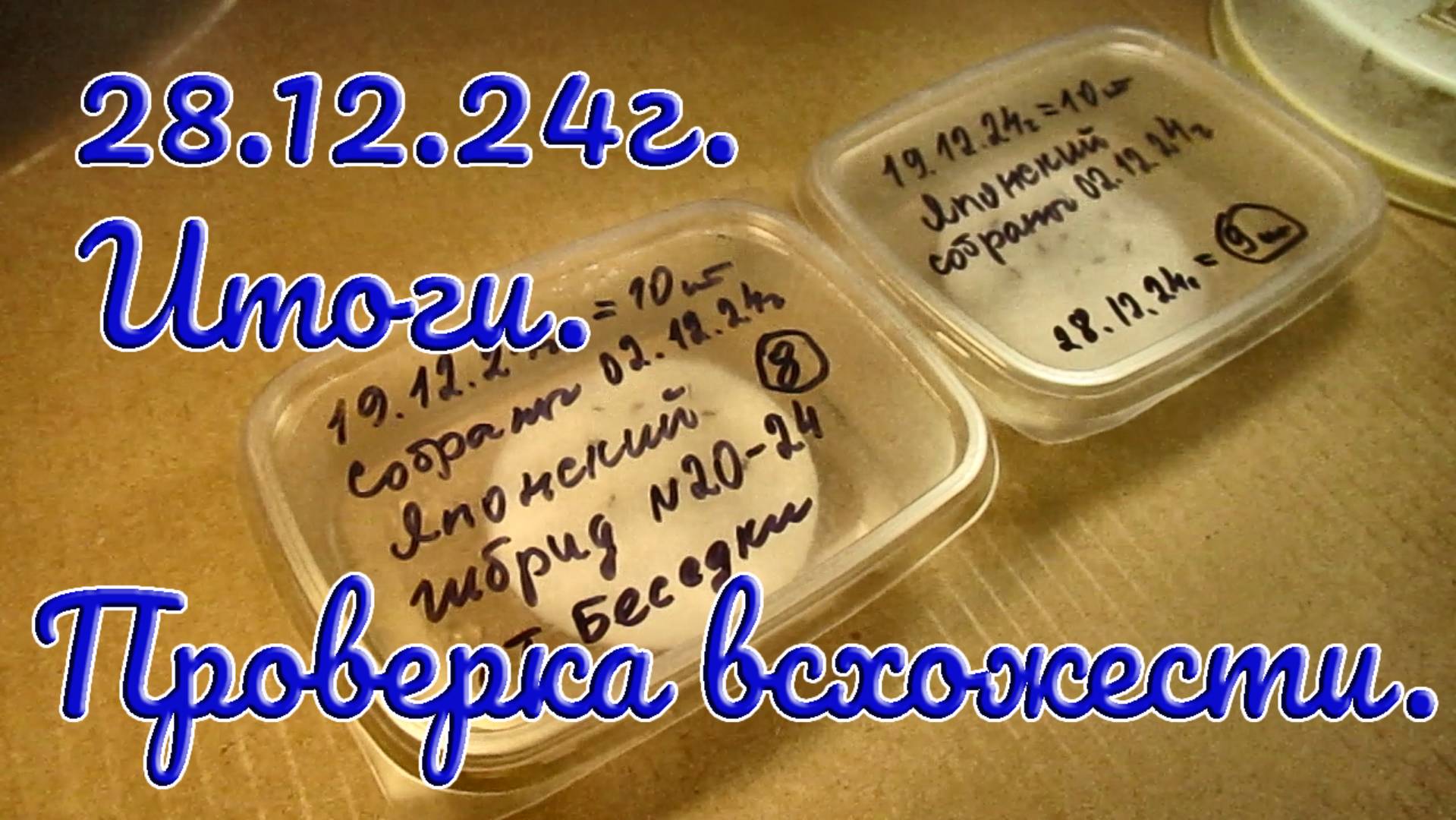 28.12.24г. Итоги. Проверка всхожести. .