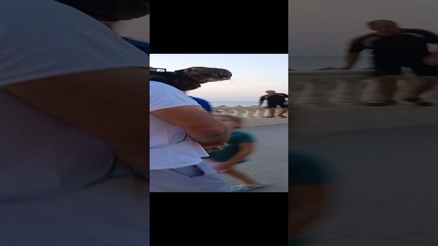 VID_20240728_195425.mp4