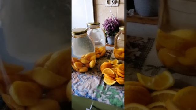 Компот на зиму из абрикосов.