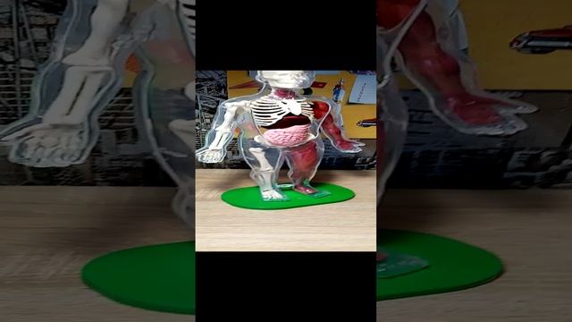 Обзор на мою подставку для телефона