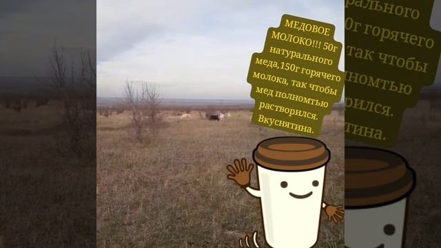 VID_20250106_161332_023
