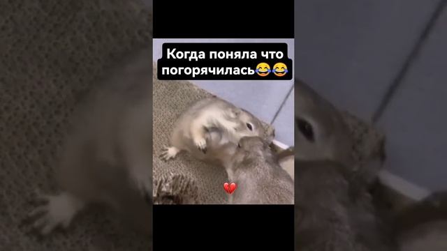 погорячилась;)